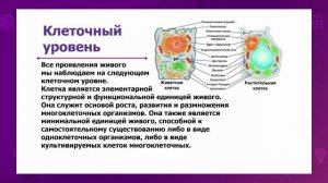 Естествознание. 5 класс. Уровни организации живых организмов /26.01.2021/