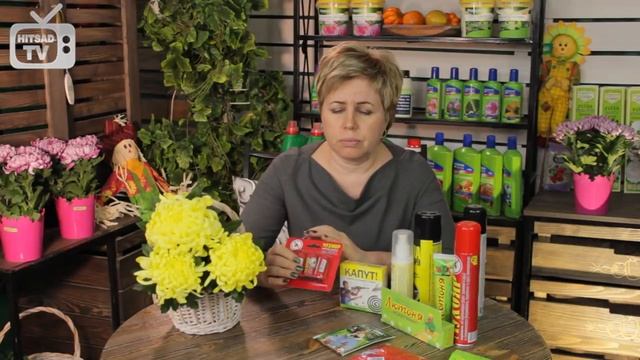 Как избавиться от мух? ? Полезные советы hitsadTV смотреть онлайн
