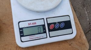 Диплоїдна слива "То Че Сан" в моєму домашньому саду. 7 вересня 2022 р.