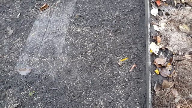 Грядки для малины ч.2 http://globusbm.com/ смотреть онлайн