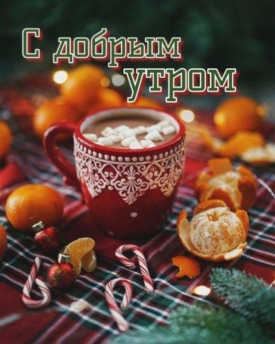 ☕️ Доброе зимнее утро! Утренний позитив для друзей!