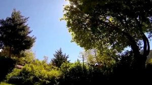 "ЛЮБЛЮ И СКУЧАЮ" Исп. Алла Аскерова