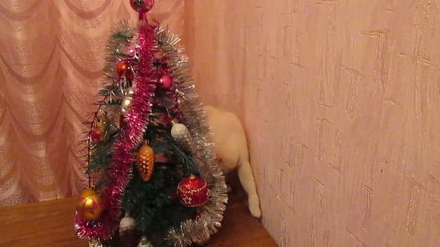 Снежок встречает Новый год! смотреть онлайн