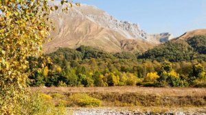 Ваш авторский конный тур в Лагонаки