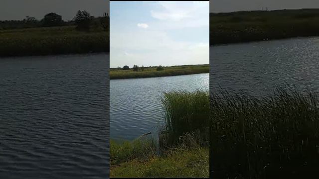 С собакой на рыбалку, Приехали !