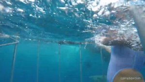 Adult movie star Molly Cavalli was attacked by sharks at fake.net