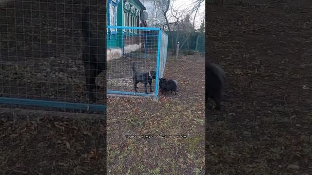 Что такое картина Мира  и почему она у каждого своя?