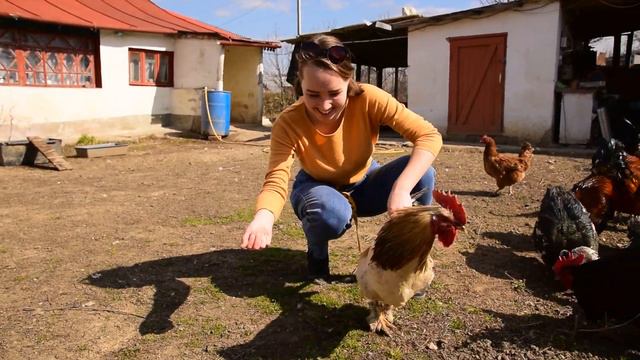 Жизнь в селе Крыма | Сельское хозяйство Утки Петухи Куры | Крым сегодня 2021
