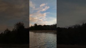 Лодочный мотор Бензопила Урал