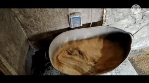 Стартовый корм для поросят своими руками. Глистогоним поросят после отлучки от свиноматок.