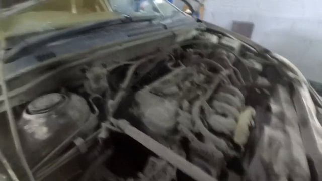 Toyota Corolla стерпит и такое.Мыть или не мыть двигатель?
