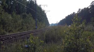 БОЛЬШАЯ ИЖОРА / ФИНСКИЙ ЗАЛИВ