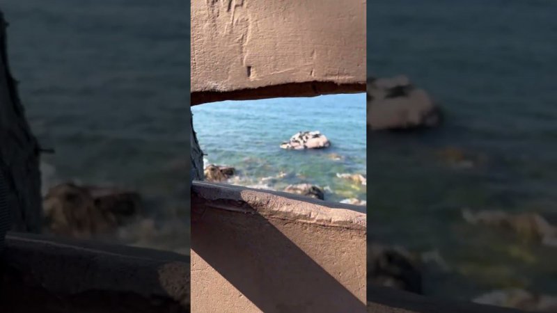 Бекстейдж со съемок фильма о байкальской нерпе #байкал #природа #фильм #seal #нерпа