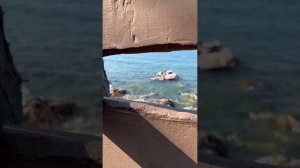Бекстейдж со съемок фильма о байкальской нерпе #байкал #природа #фильм #seal #нерпа