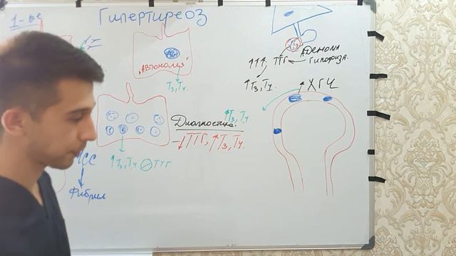 ГИПЕРТИРЕОЗ- когда много гормонов Щитовидной Железы