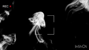 FUJII KAZE - SHINUNOGA E-WA (432Hz)