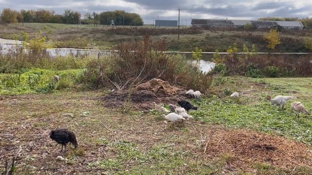 03-10-2023 смотреть онлайн