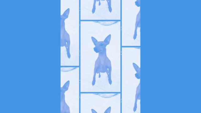 Милашка,прям как ты смотреть онлайн