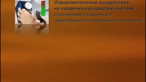 Раскачивающийся массажер (свинг машина) Takasima