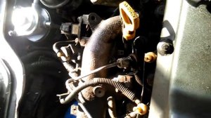 1kz te на холодную не заводится, солярка не идёт