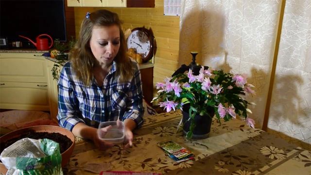 ???Какими травами, овощами, ягодами украсить  подоконник, балкон этой весной.  ОГОРОД НА ПОДОКОННИК