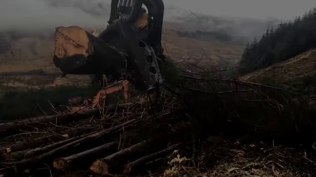 OOO Лесной Двор Москва Продажа пиломатериалов со склада смотреть онлайн