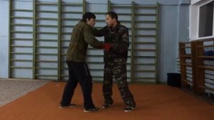 №124 Ближний бой методика освоения техник стиль ШОУ ДАО Самарская Федерация Ушу ранний даосизм