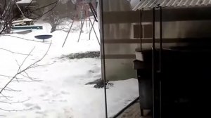 Экотель Снегирек.