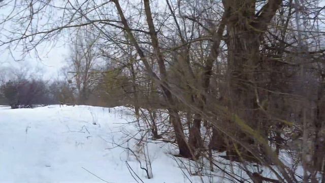 3 февраля 2024. Паводок пришел скоро всё затопит! смотреть онлайн