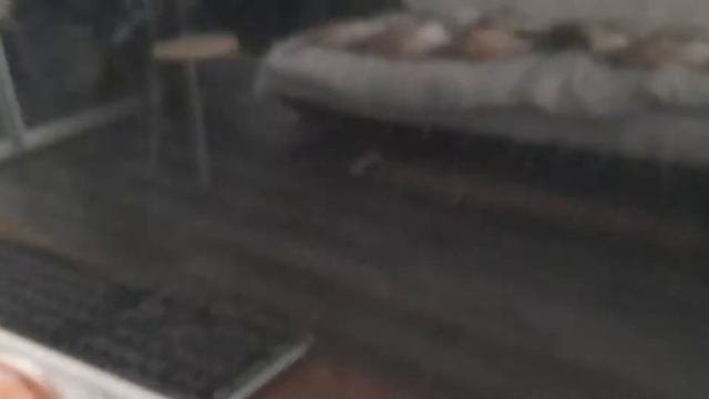X79 Altermiter проблема ошибка D6 что делать