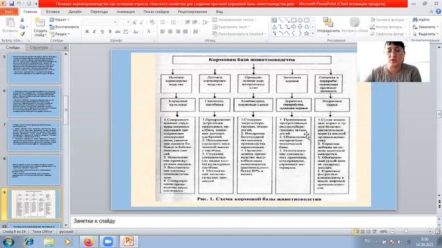 Молоткова Е В Полевое кормопроизводство как основная отрасль сельского хозяйства смотреть онлайн