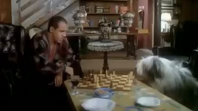 Укрощение Строптивого Разговор с собакой смотреть онлайн