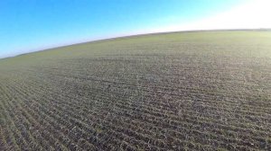 Открытие охоты на зайца. Как и где найти зайца в солнечную погоду. Охота длительностью 800 метров.