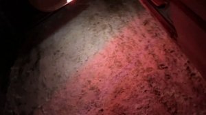 Светодиодная дверная подсветка Lexus RX 300/330/350/400H 2003-2008(2-х режимная)