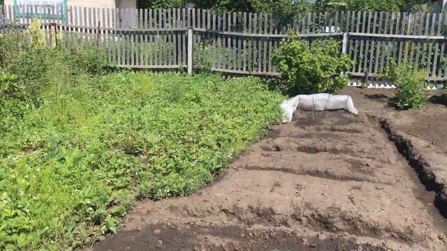 Дела дачные. Часть 1