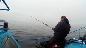 Рыбалка на палтуса