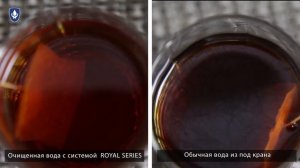 Как проверить воду с помощью обычного чая?