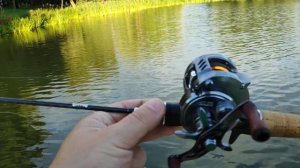 Fishband TENDER SHOOT конкурент Shimano Calcutta Conquest BFS и Daiwa Millionaire CT SV70