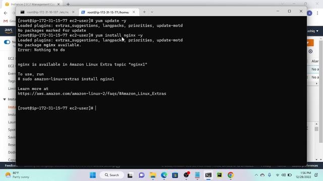 Install Nginx on Amazon EC2 | Change Nginx Port Number смотреть онлайн