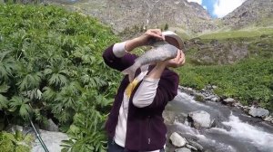 Мужская Рыбалка в Горах Попался Крупный Хариус  в Горном Алтае