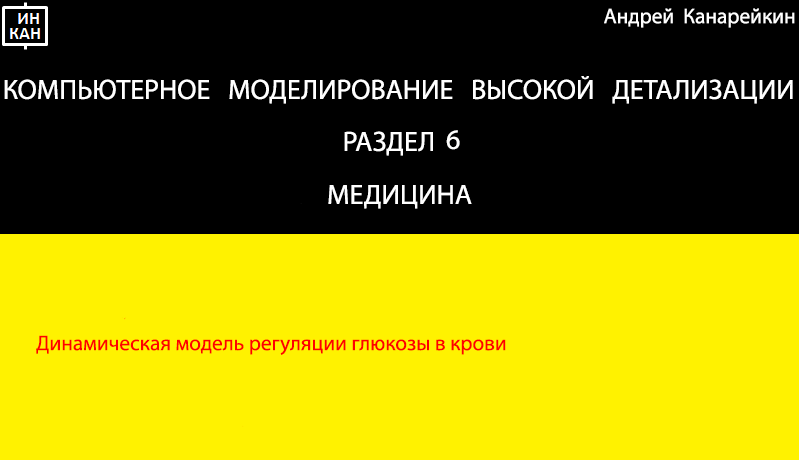 Раздел 6. Медицина. Компьютерное моделирование высокой детализации.