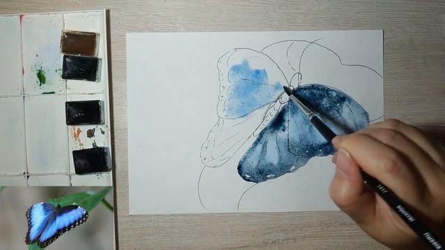 Как нарисовать Красивую Бабочку акварелью. Уроки рисования. Скетчинг для начинающих.15-ти минутка!