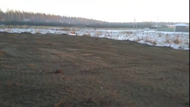 Отсыпка участка на болоте.Какой делать фундамент?