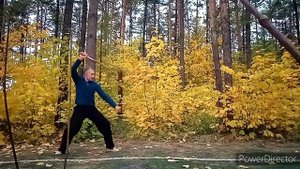 Одиночная форма с двумя палками!!!
