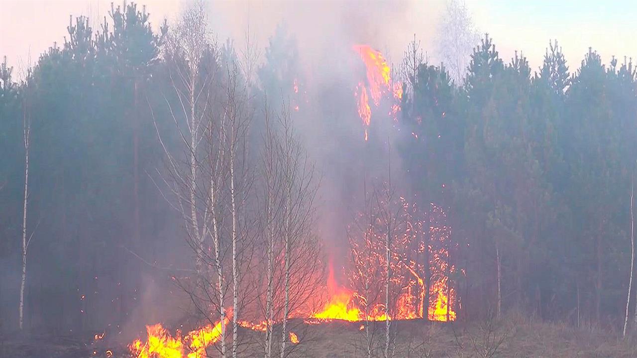Площадь природных пожаров в России за сутки увеличилась на 6,5 тысяч гектаров