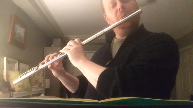 Telemann Fantasy for flute no 2 смотреть онлайн