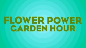 Flower Power Garden Hour 129:  The history of holiday plants , with Matt Mattus