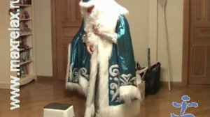 Дед Мороз и Снегурочка пришли к детям домой