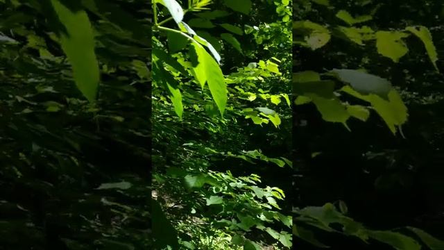 Водопады Пшада. смотреть онлайн