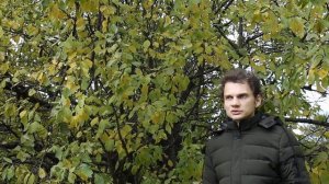 РЖАВЧИНА ЛИСТЬЕВ СЛИВЫ: СИМПТОМЫ, ПРИЧИНЫ, ЛЕЧЕНИЕ